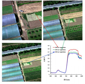 利用高光譜成像儀對地物識別分類研究